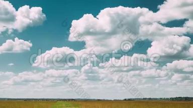 夏季乡村<strong>田园</strong>草甸景观在风景秀丽的天空下随着蓬松的云彩而消逝。